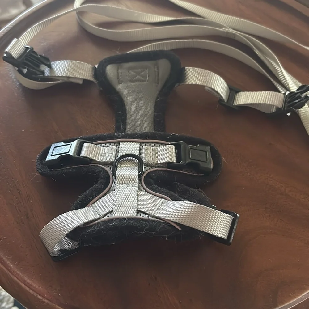 ❤️3 for $15!❤️ rabbitgoo Cat Harness and Leash Set, Escape Proof Soft XXS